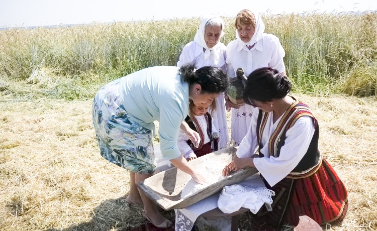 Ръжта за Хляба на мира тази година се отглежда в Пазарджик